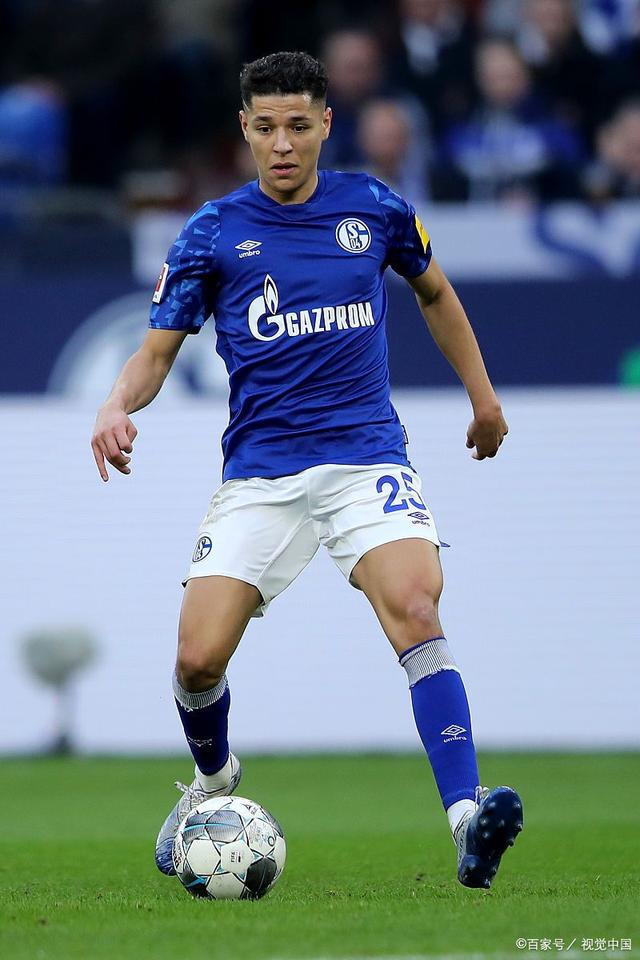 包含沙尔克04球迷疯狂呐喊支持球队，为胜利加油的词条