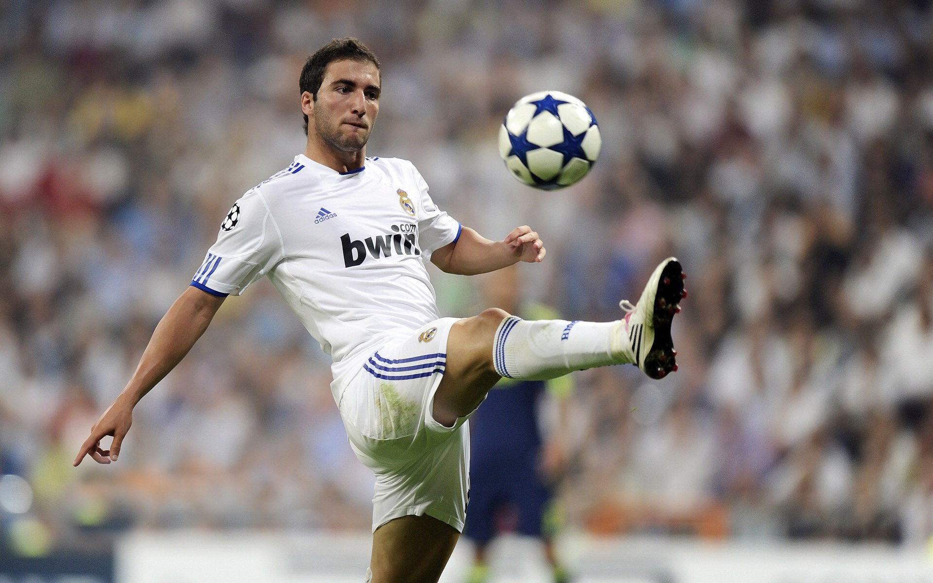 波斯铁骑力克沙漠雄鹰，马丁内利一剑封喉成关键先生